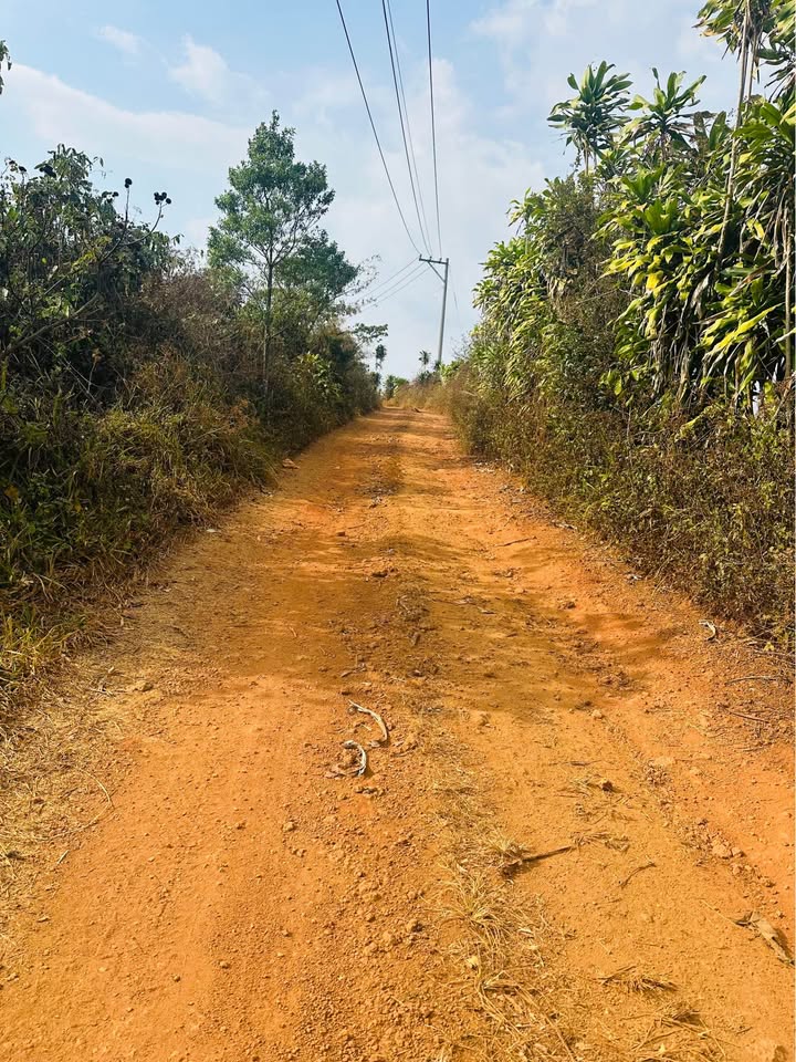 Đất vườn Lộc Quảng Bảo Lâm 5000m² 2.75 tỷ Nghỉ dưỡng lý tưởng