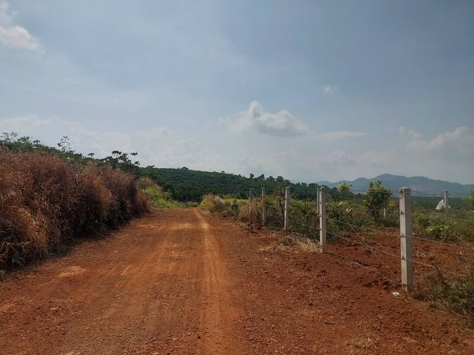 Đất Nền Bảo Lộc 1000m² - Giá F0 1.7 Tỷ, View Đẹp