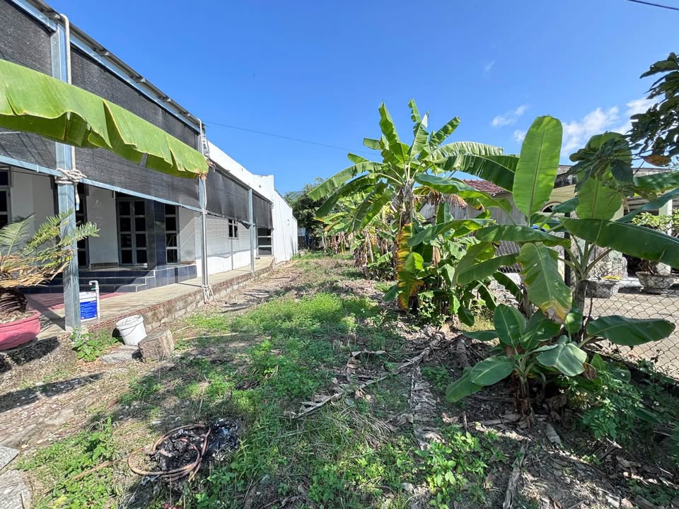 Đất nền Diên Lâm 147m² view đồng lúa - Sổ đỏ chính chủ!