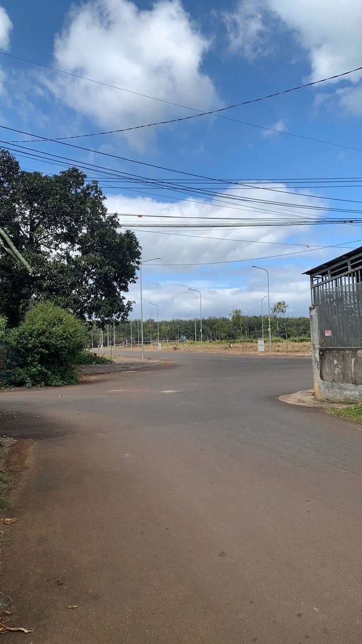 Đất 3 Mặt Tiền TDP 12, TP. Buôn Ma Thuột - 211m² Thổ Cư Full, Giá Tốt Trước Tết