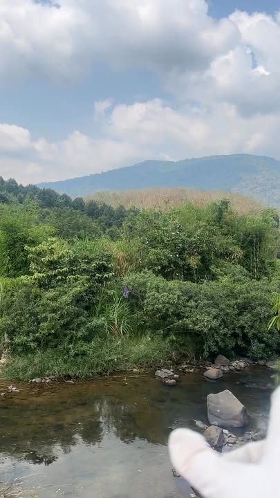 Đất nền 1800m² tại Đường 713, Huyện Đạ Huoai - Cơ hội đầu tư hấp dẫn!