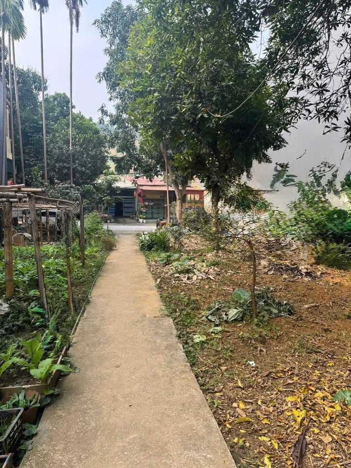 Đất nền đường Điện Biên Cốc Lếu 120m² giá 3.03 tỷ - Sổ đỏ chính chủ