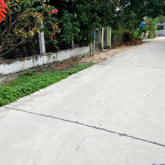 Bán đất Cam Ranh 249m² thổ cư - Sẵn sổ, đường 6m ô tô