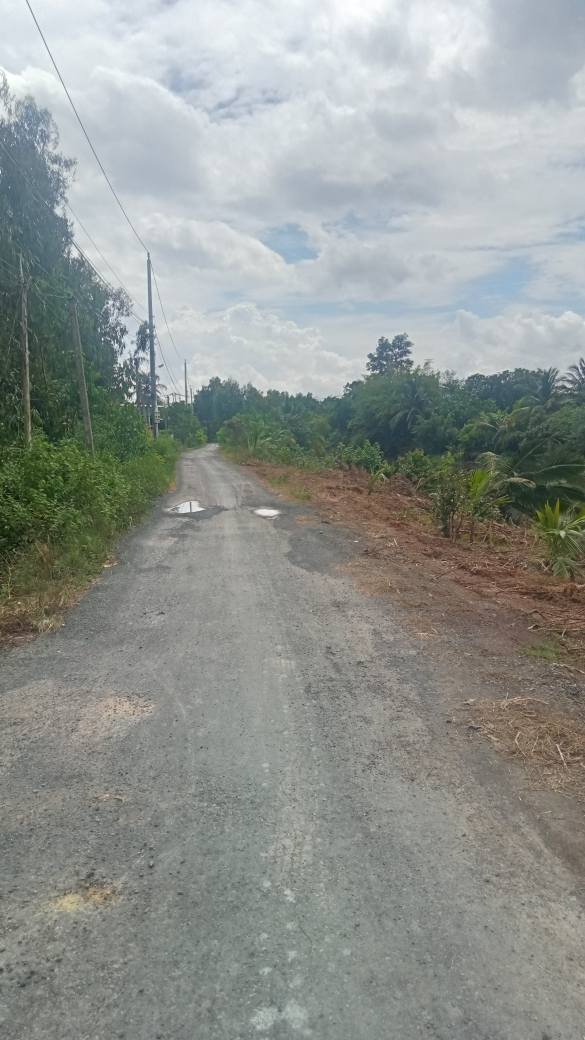 Đất nền Xã Thạnh Lợi, Bến Lức 2000m² - Sổ đỏ chính chủ, công chứng ngay!