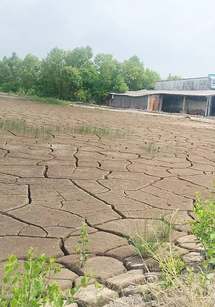 Đất nền Sông Đốc Cà Mau 300m² giá 180 triệu - Sổ hồng chính chủ