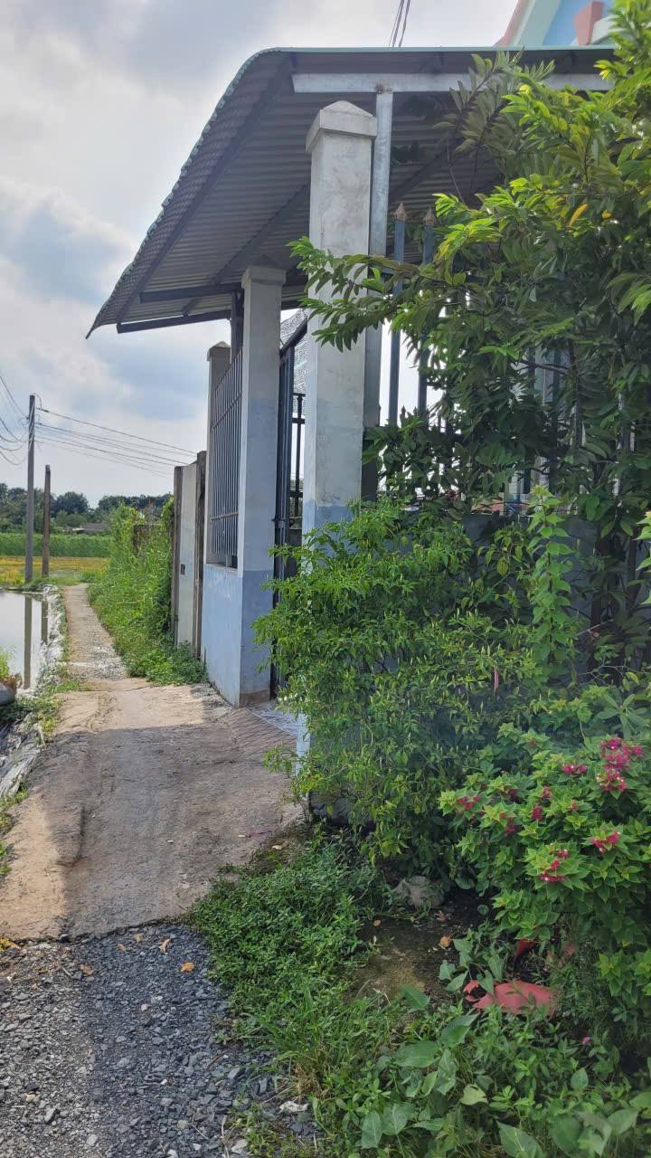 Đất nền Bến Lức Long An 71m² giá 550 triệu - Sổ đỏ chính chủ