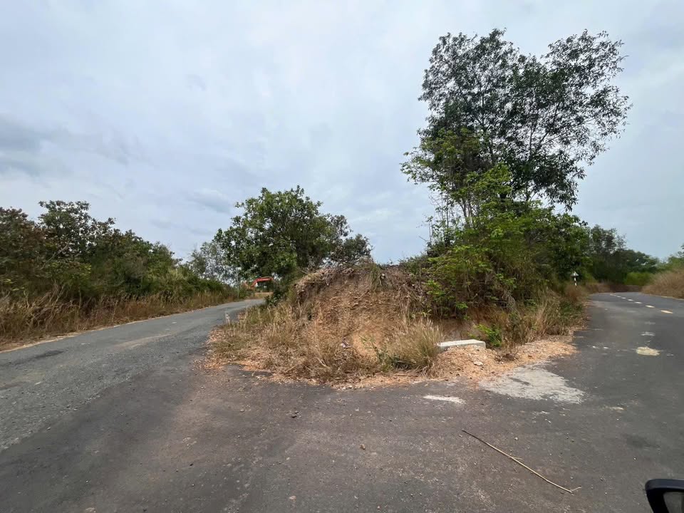 Đất nền Phước Tân 1484m² giá 1.95 tỷ - Tiềm năng sinh lời cao!