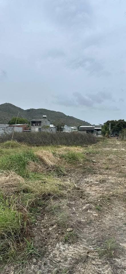 Đất nền Phước Hưng Bà Rịa 150m² - Sổ đỏ chính chủ bán gấp