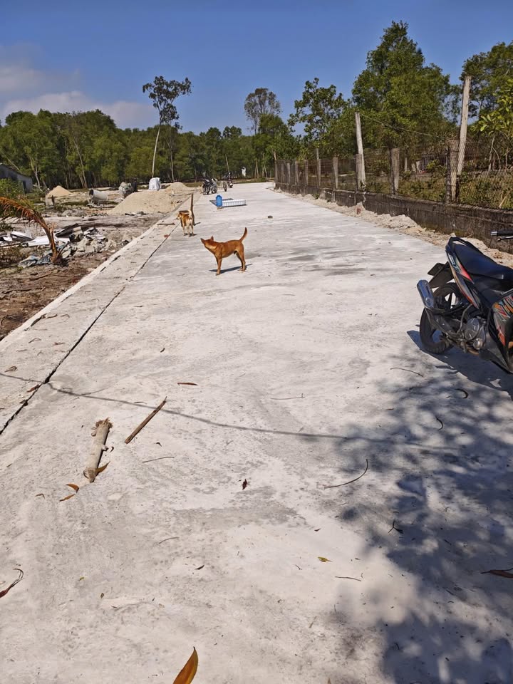 Đất nền Vinh An, Huế 100m² - Tiềm năng tăng giá vượt trội!