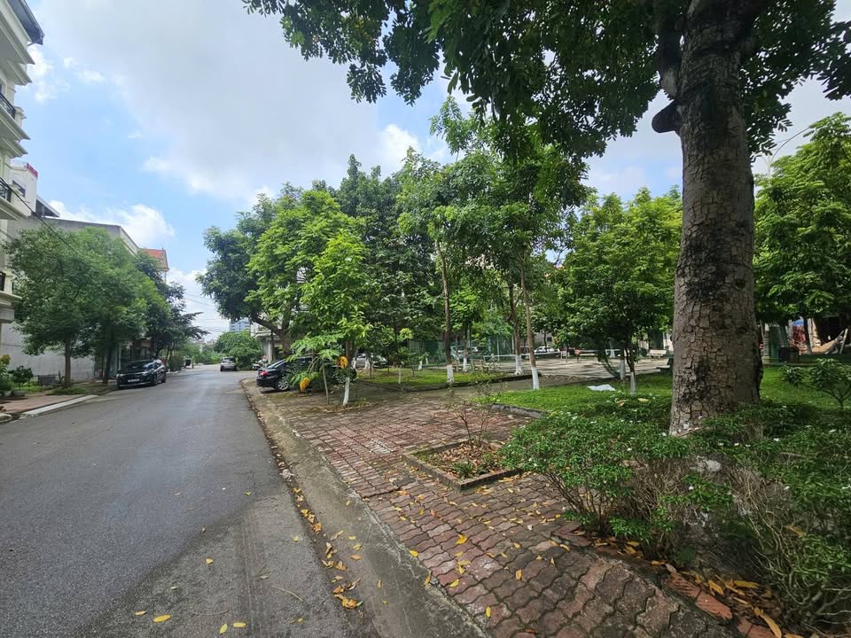 Đất nền đường Nguyễn Quán Quang, phường Đại Phúc, 83.2m² giá 13 tỷ - Cơ hội đầu tư tuyệt vời!