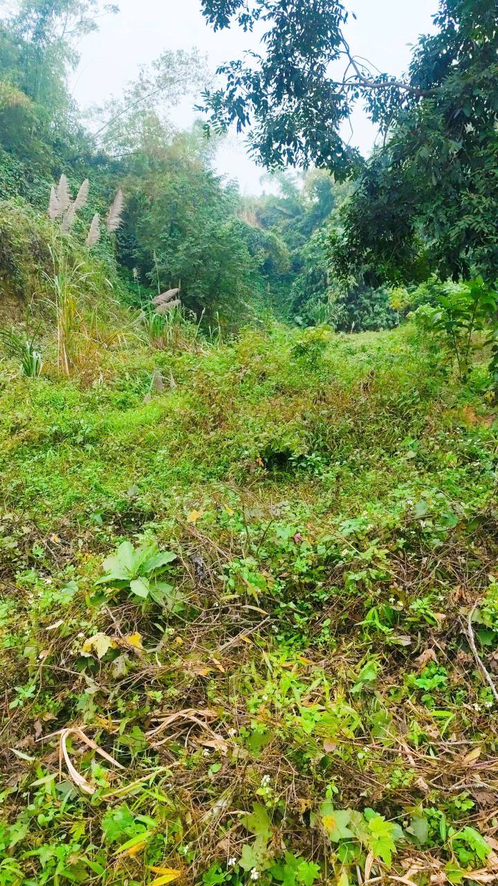 Đất nền An Phú Lạc Thủy 910m² - Sổ đỏ chính chủ, tiềm năng cực lớn