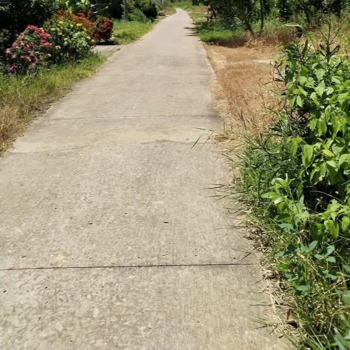 Đất nền Xóm Than, Long An - 200m² Sổ Hồng Full Thổ Cư - 420 Triệu