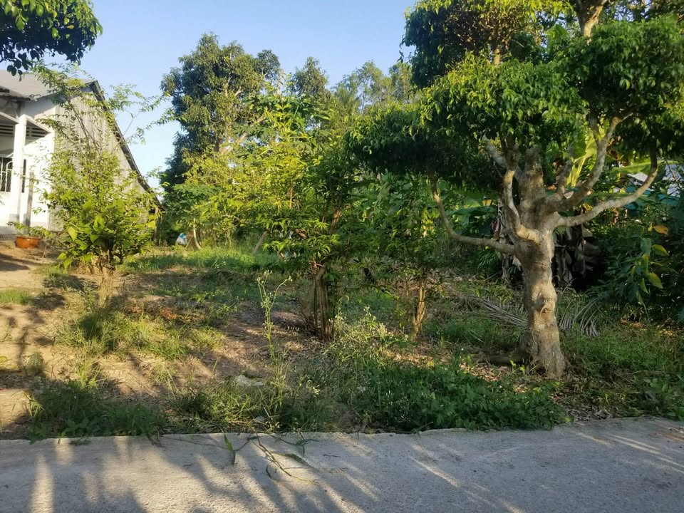 Bán đất Thạnh Lộc Châu Thành 960m² giá 890 triệu - Sổ đỏ chính chủ