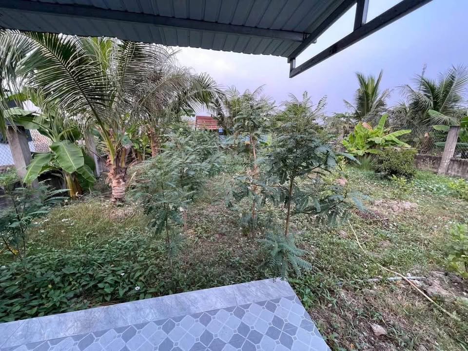 Nhà cấp 4 sân vườn 500m² Thị Trấn Cần Giuộc giá 1.85 tỷ - Chính chủ bán gấp!