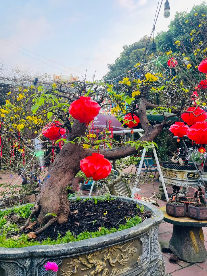 Nhà mặt tiền Nghĩa Kỳ, Tư Nghĩa 195m² giá 2.2 tỷ - Cơ hội đầu tư tuyệt vời!