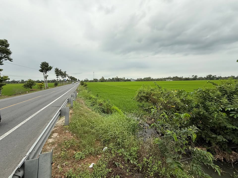 Bán Đất Mặt Tiền Quốc Lộ 61C Cần Thơ 2.735m² - Tiềm Năng Sinh Lời Cao