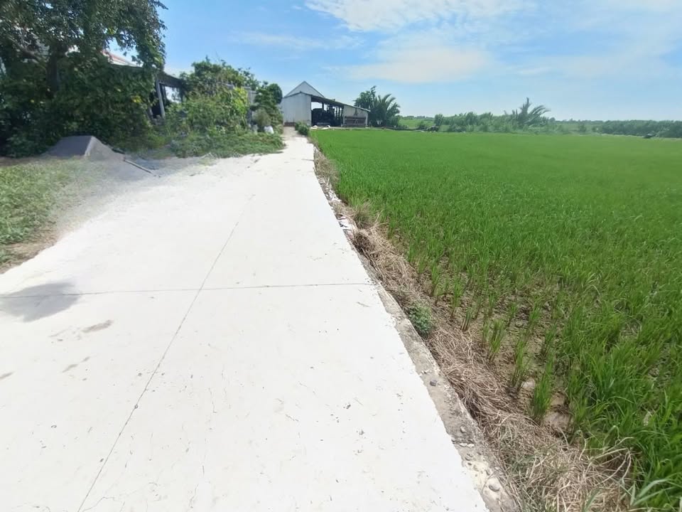 Đất Nền Gò Công Tiền Giang 297m² - Sổ Đỏ, Giá Tốt 350 Triệu