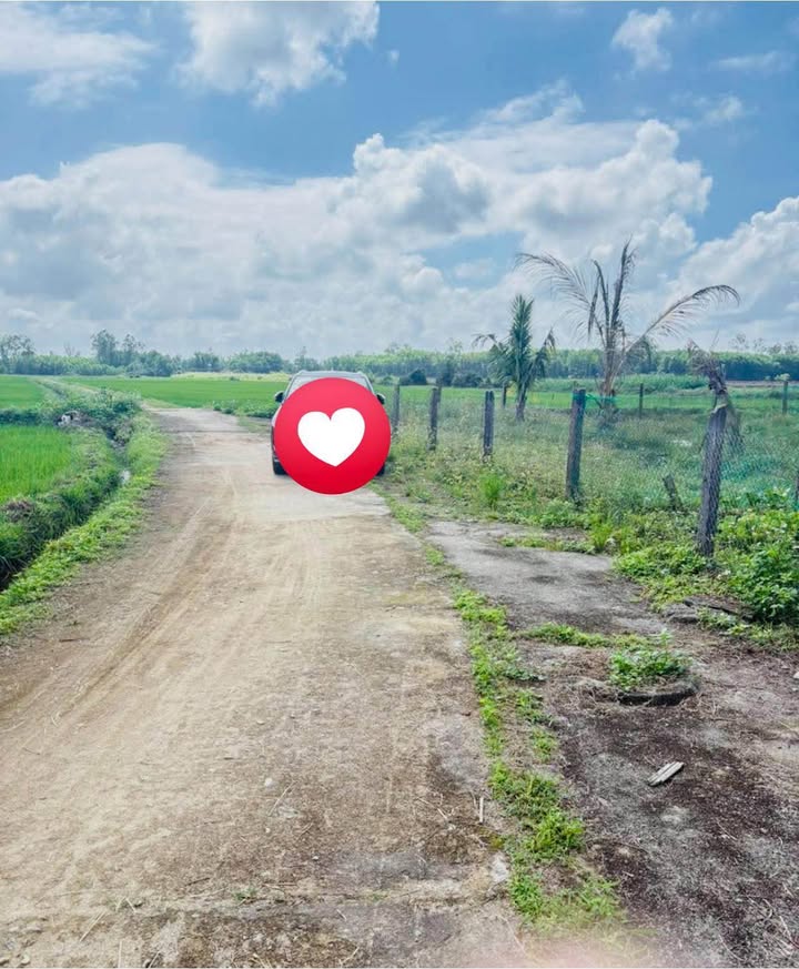 Đất Nền Mỹ Trà, Tam Kỳ 250m² - Tiềm Năng Tăng Giá Vượt Trội!