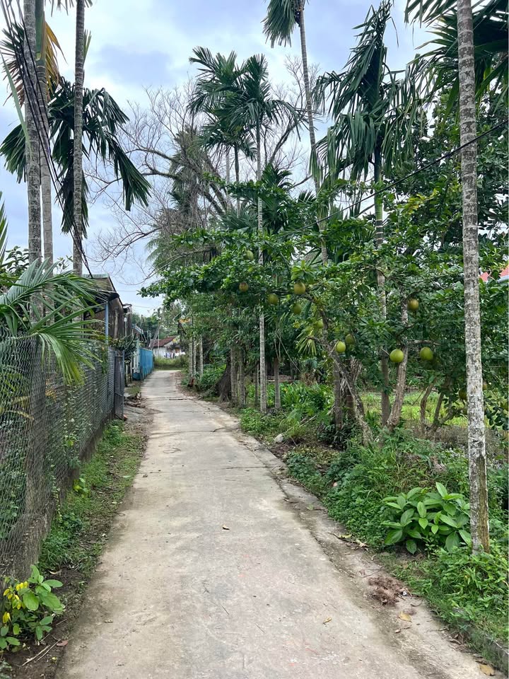 Đất nền Phường Hoà Thuận, Tam Kỳ 168m² - Tiềm năng tăng giá!