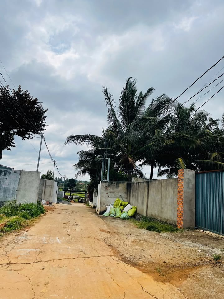 Đất nền Ea Kao Buôn Ma Thuột 105m² giá 770 triệu - Sổ đỏ chính chủ!