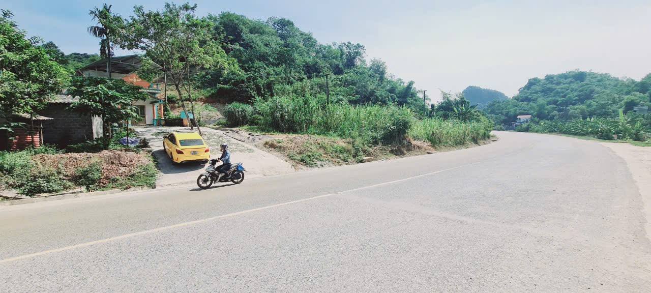 Nhà Mặt Tiền QL21A Lương Sơn 1850m² - Mặt tiền kinh doanh bất chấp!