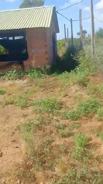 Farm 4ha tại Huyện Chư Sê, Gia Lai - Đầu tư sinh lời với nguồn thu khủng!