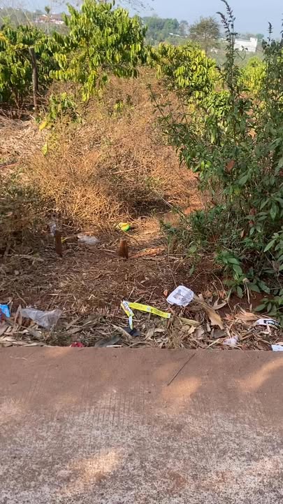 Đất nền Đức Cơ Gia Lai 150m² giá 400 triệu - Sổ đỏ chính chủ!