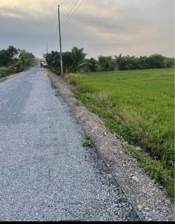 Đất nông nghiệp 5000m² Xã Mỹ Long, Huyện Cao Lãnh, Đồng Tháp - Giá chỉ 2 tỷ!