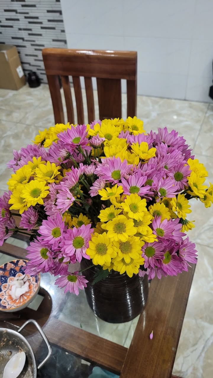 Đất nền Minh Phương Việt Trì 164m² - Sổ đỏ chính chủ, tiềm năng kinh doanh!