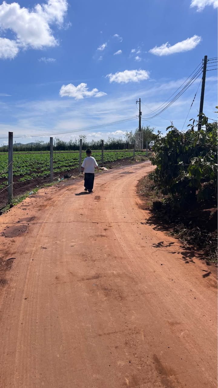 Đất nền xã Tân Hội, huyện Đức Trọng 145m² chỉ 439 triệu - Sổ hồng riêng công chứng ngay!