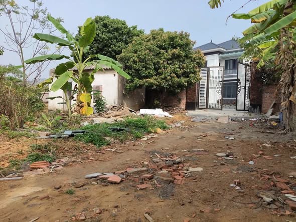 Đất nền Lãng Sơn, Bắc Giang 320m² giá 800 triệu - Sổ đỏ chính chủ!