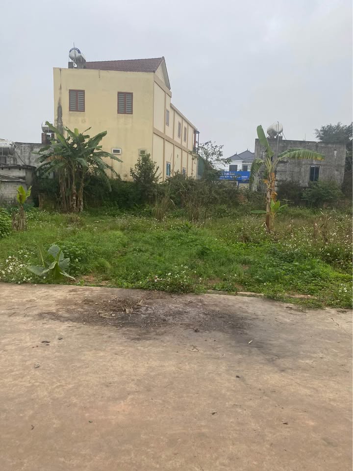 Đất nền Nghĩa Đàn 203m² giá 1.2 tỷ - Đầu tư sinh lời ngay!