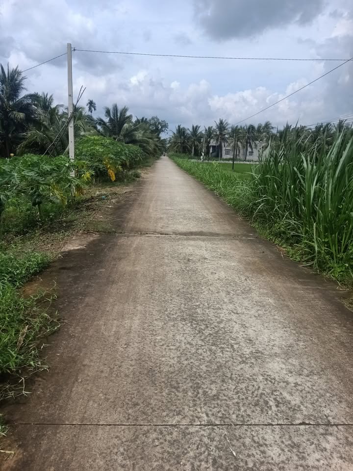 Đất vườn Xã Mỹ Hòa Ba Tri 5800m² - Nghỉ dưỡng lý tưởng!