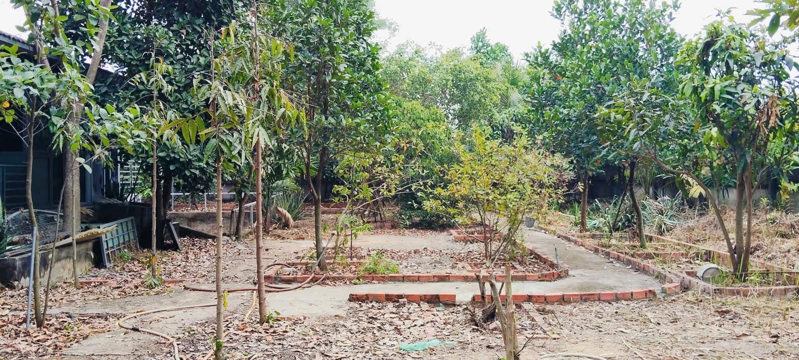 Đất vườn Bình Mỹ Củ Chi 840m² giá 3.05 tỷ - Nghỉ dưỡng lý tưởng!