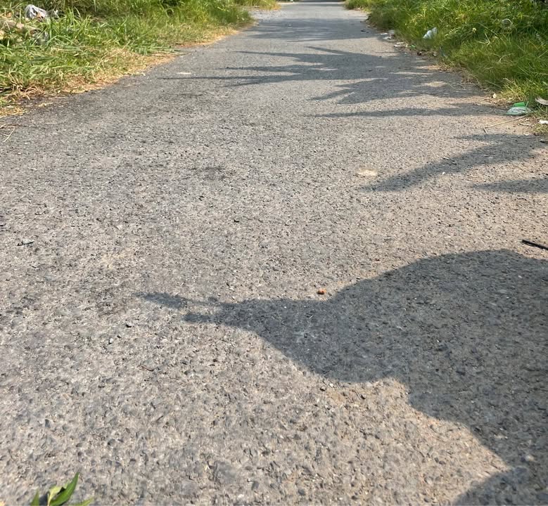 Bán Đất Vàng 1000m² Mặt Tiền Lộ Kè Cao Tốc, Đồng Tháp - Sẵn Sàng Đầu Tư!