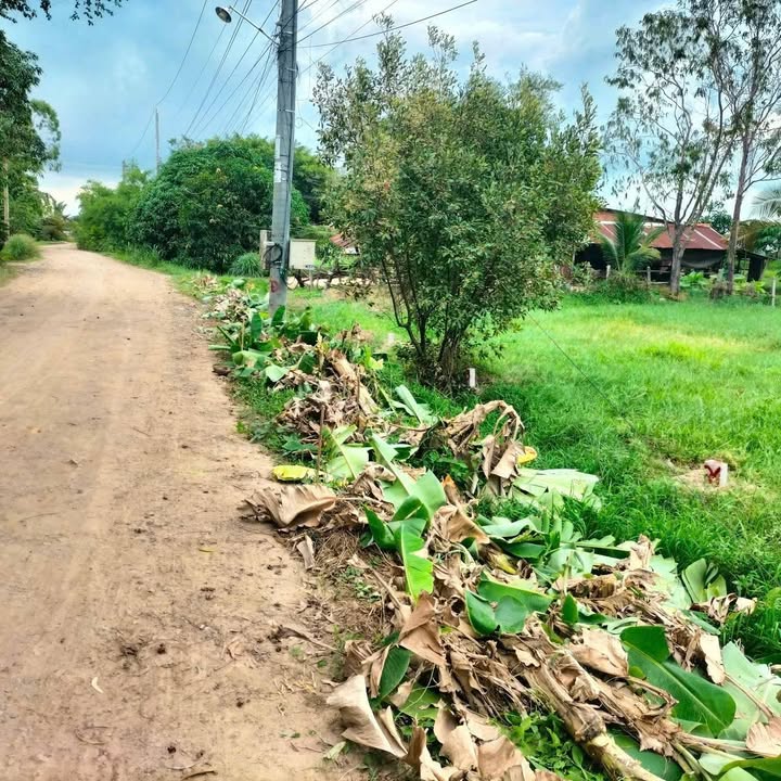 Đất nền Bến Cầu Tây Ninh 174m² chỉ 170 triệu - Sổ đỏ chính chủ