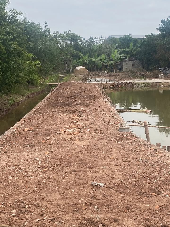 Đất thổ cư Khu phố 3, Thị trấn Quỹ Nhất, 338m² giá 20.8 tỷ - Cơ hội đầu tư sinh lời!