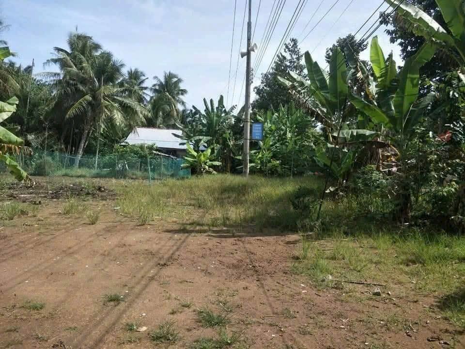 Đất thổ cư 216m² tại Ấp Gò Cà, Càng Long giá 450 triệu - Đầu tư sinh lời!