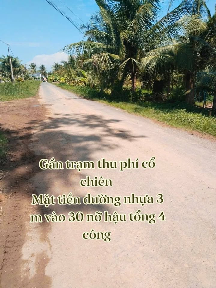 Đất 4.000m² tại xã Đại Phước, huyện Càng Long - Giá 1.6 tỷ, thương lượng tốt!