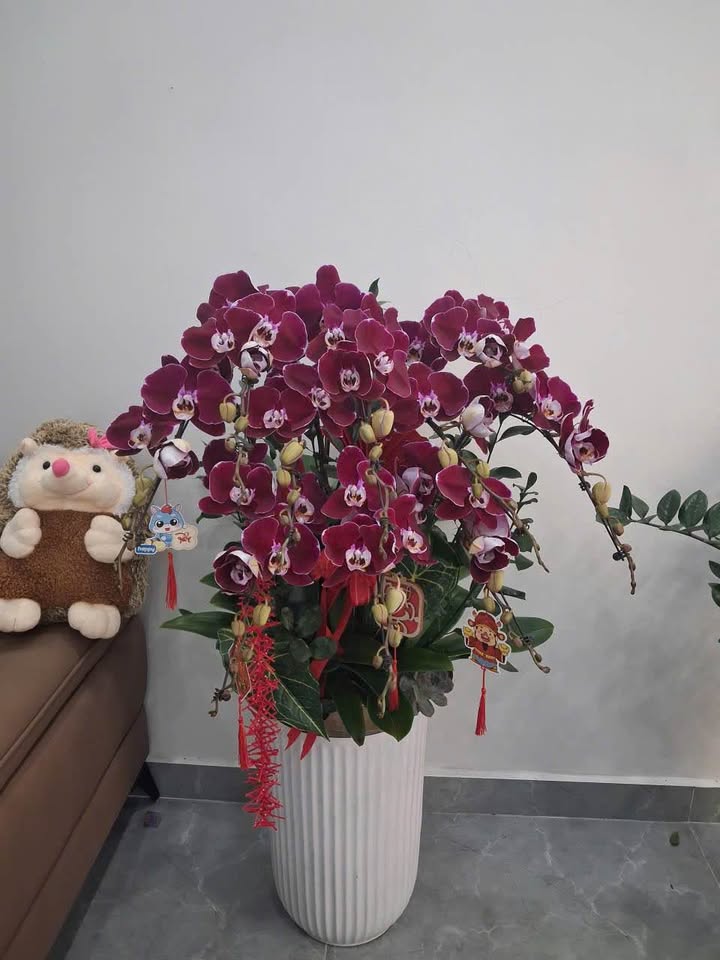 Bán nhà phố Trần Nguyên Hãn, Hải Phòng 44m² giá 2.95 tỷ - Sẵn sàng vào ở ngay!