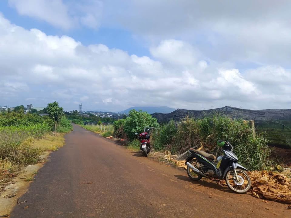 Đất nền Bảo Lộc 2100m² Nguyễn An Ninh - View cao đẹp, giá tốt