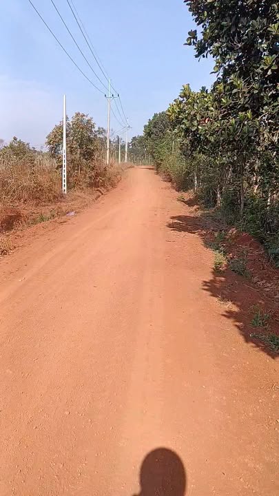 Đất nền Đắk R'Tíh, Tuy Đức 1728m² giá 450 triệu - Sổ đỏ chính chủ!