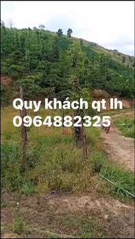 Đất vườn Nâm Nung Krông Nô 1.3ha giá 850 triệu - Đầu tư tốt!