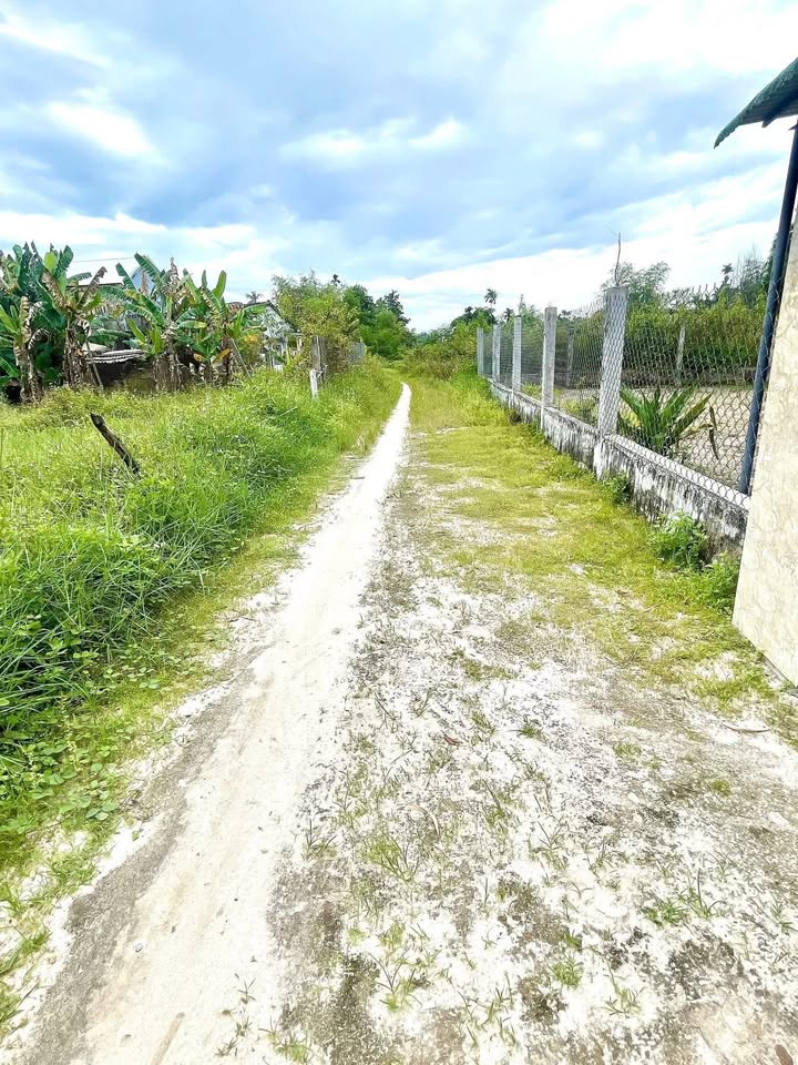 Đất nền Thị trấn Hà Lam 136m² giá 3xx triệu - Sổ đỏ chính chủ