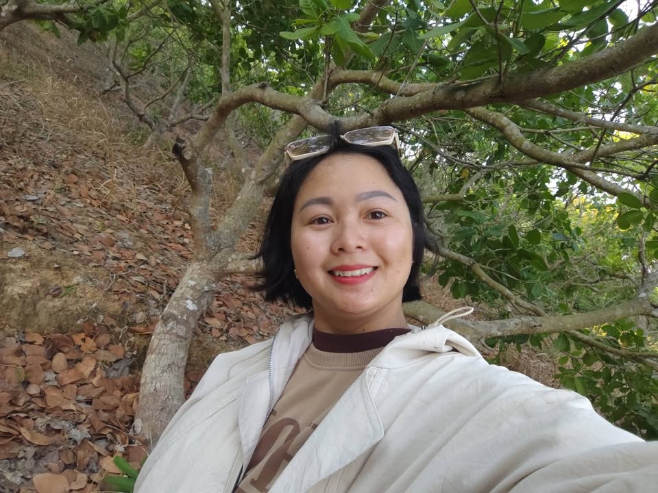 Rẫy điều 2.4ha Đăk Wil giá 2.4 tỷ - Đường ô tô vào tận nơi!