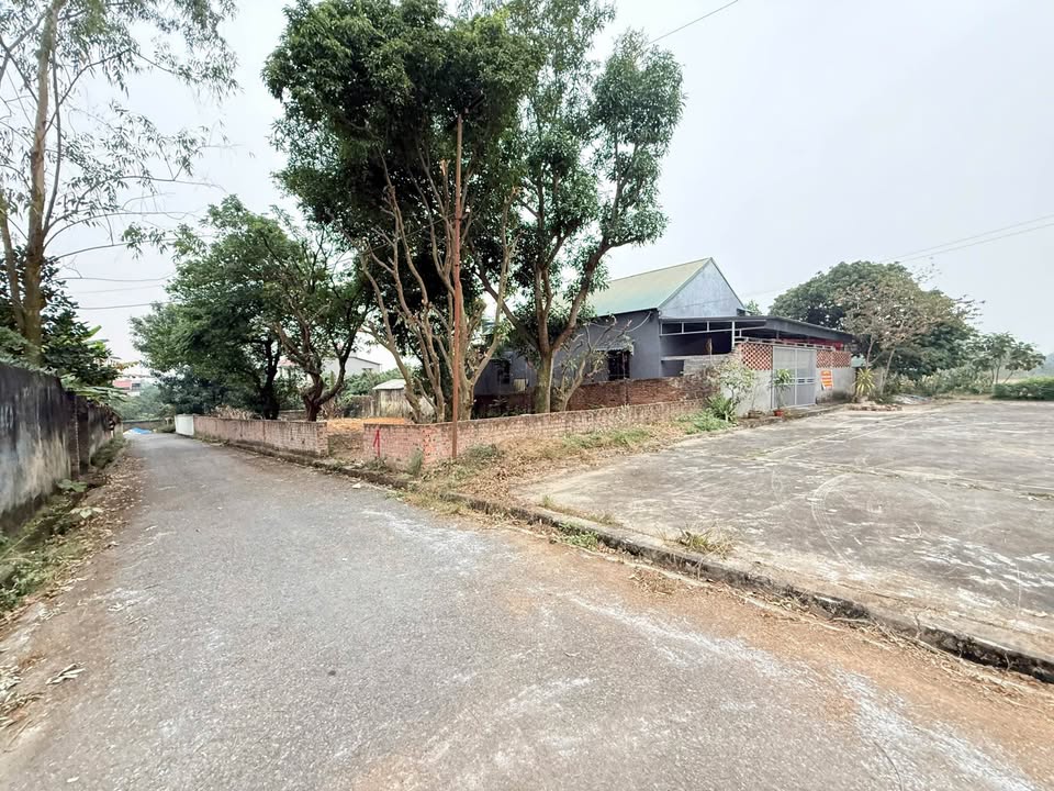 Đất nền Hùng Sơn Lâm Thao 90m² 980 triệu - Sổ đỏ chính chủ!