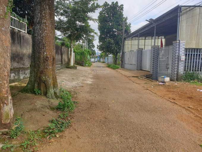 Đất thổ cư 400m² Lý Thường Kiệt, Bảo Lộc - Sổ hồng sẵn, giá 3.95 tỷ