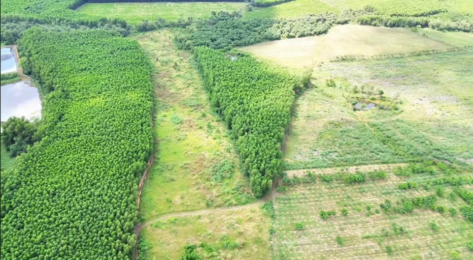 Đất vườn Phú Ngọc Định Quán 10.000m² giá 1.3 tỷ - Sổ đỏ chính chủ