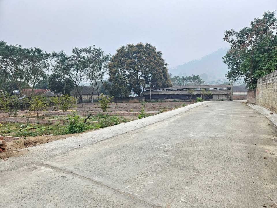 Đất nền Đại Đình, Tam Đảo 125m² chỉ 700 triệu - Tiềm năng tăng giá!