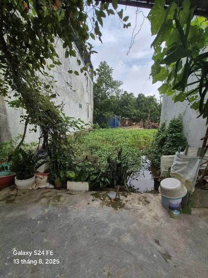 Đất nền Vạn Phúc 2, Thanh Trì 50m² - Sổ đỏ chính chủ